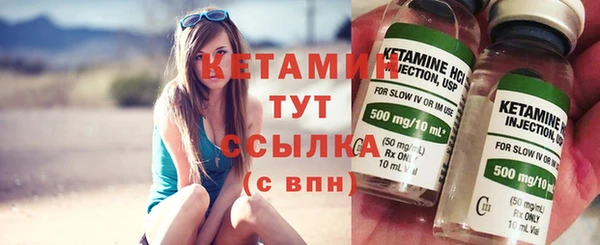 сатива Вяземский