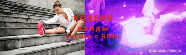 сатива Вяземский
