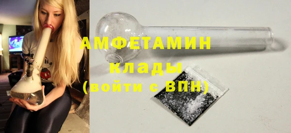 сатива Вяземский