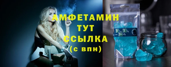 сатива Вяземский