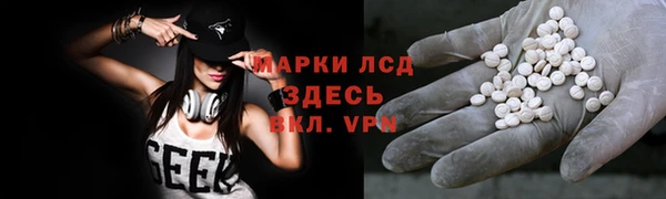 стаф Майский