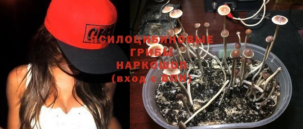 мдпв Медногорск