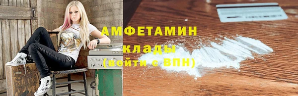 сатива Вяземский