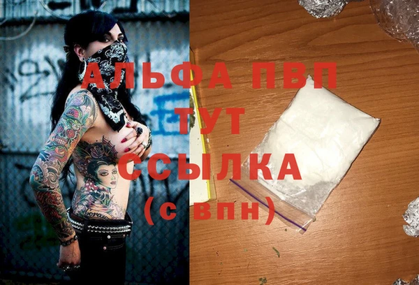 сатива Вяземский