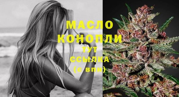стаф Майский