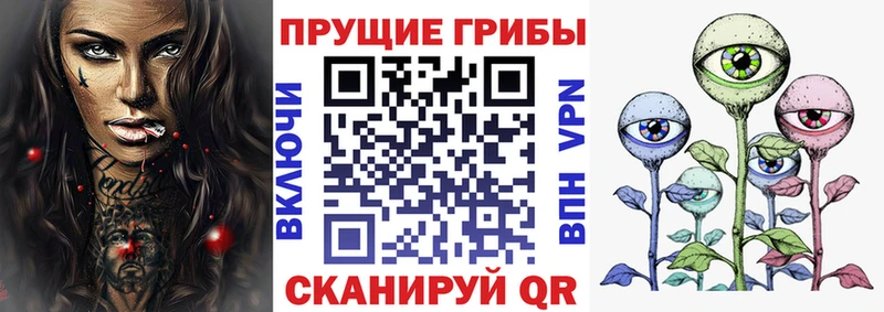 Псилоцибиновые грибы MAGIC MUSHROOMS  где купить наркоту  hydra онион  Пикалёво 